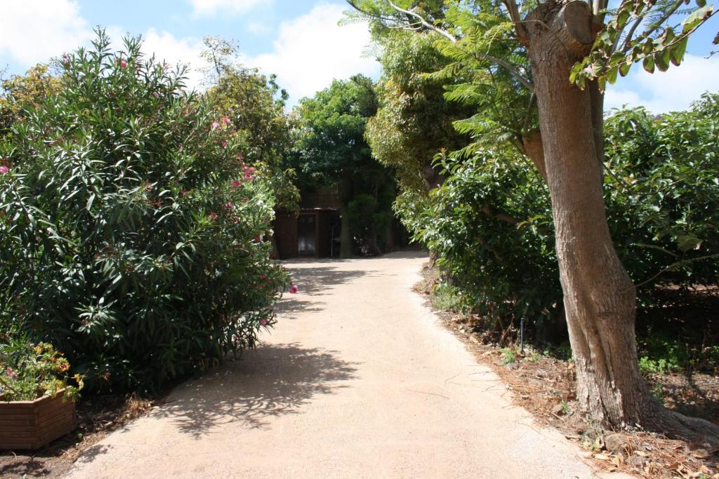 Finca El Vergel Rural Tegueste Luaran gambar